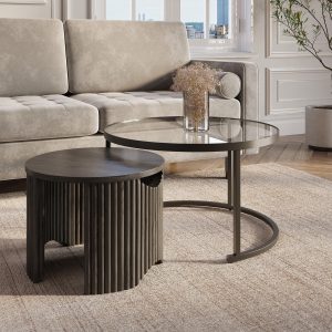 TAYRON Lot de 2 tables basses rondes gigognes en verre et bois noir TAYRON